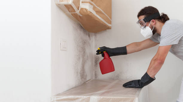 Professional Mold Remediation technician working in Linden, VA