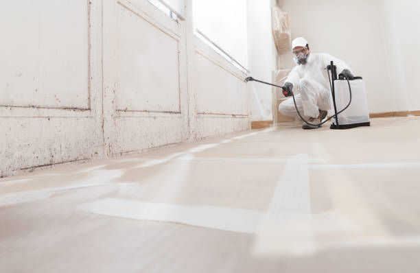 24/7 Emergency Mold Remediation experts in Linden, VA